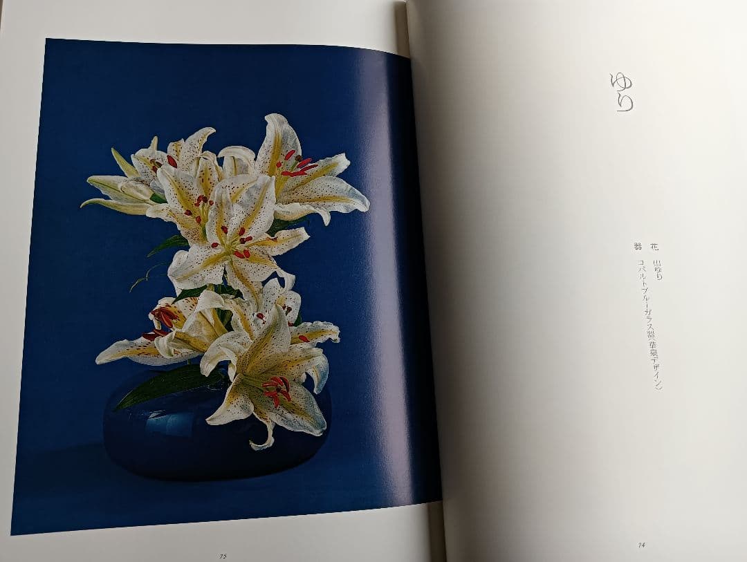華泉の花