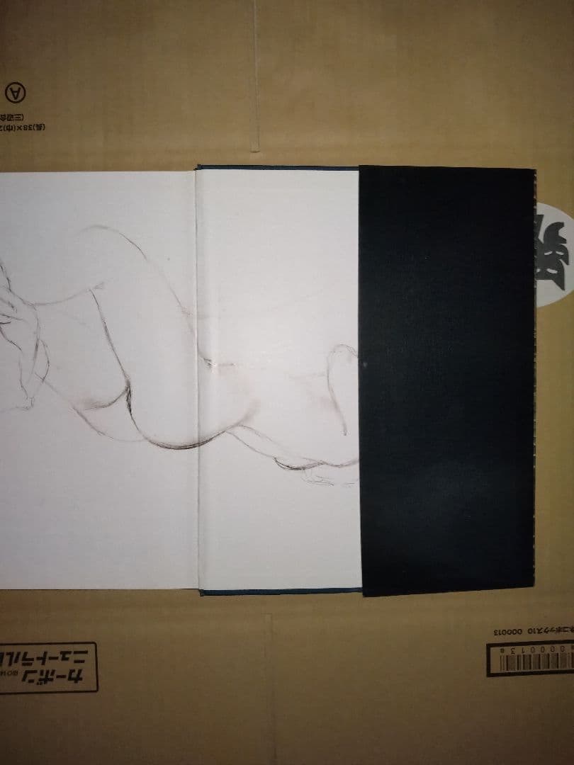 manara MEMORY アートブック フランス語