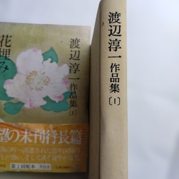 渡辺淳一 作品集 全23巻セット