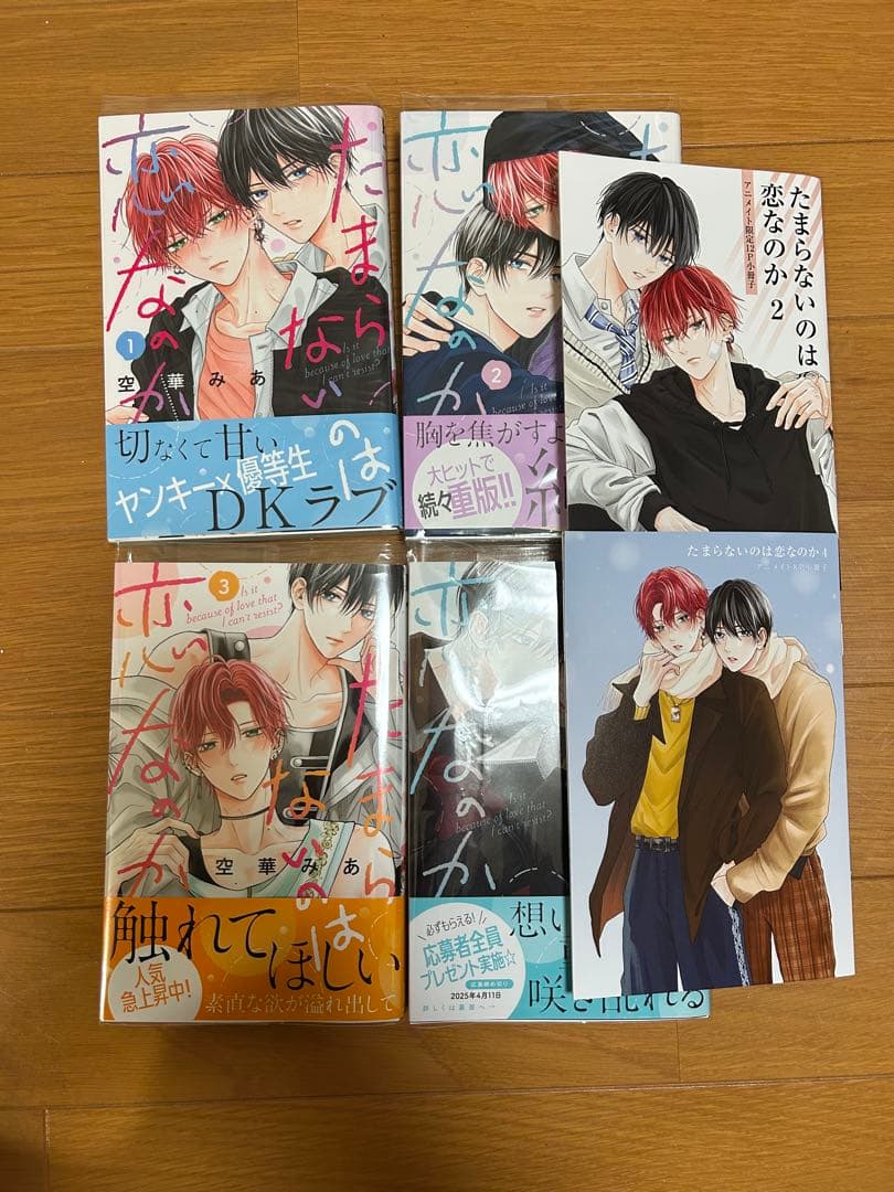 たまらないのは恋なのか　1〜4 アニメイト限定特典付き　初版