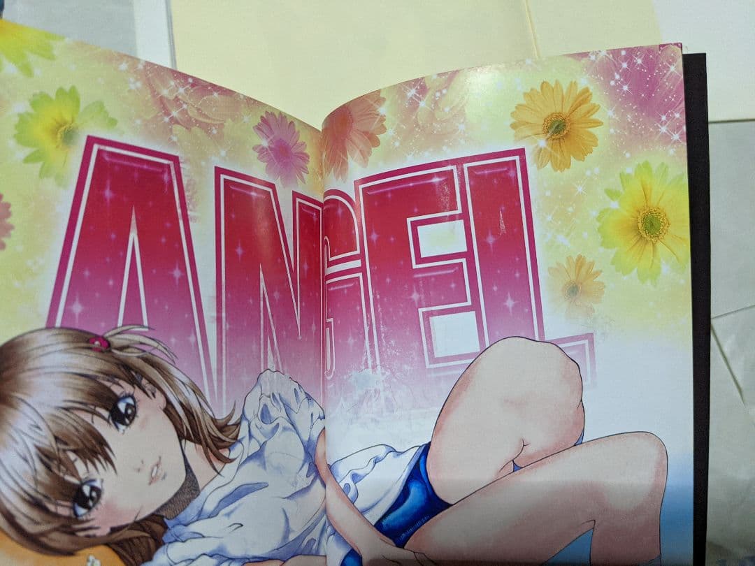 遊人　Angel : season2 全5巻　画集リセエンヌ　インフィニティ他