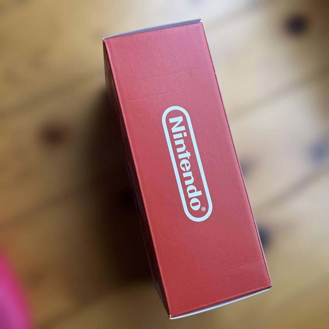NINTENDO switchLite ピンク　ケース付き