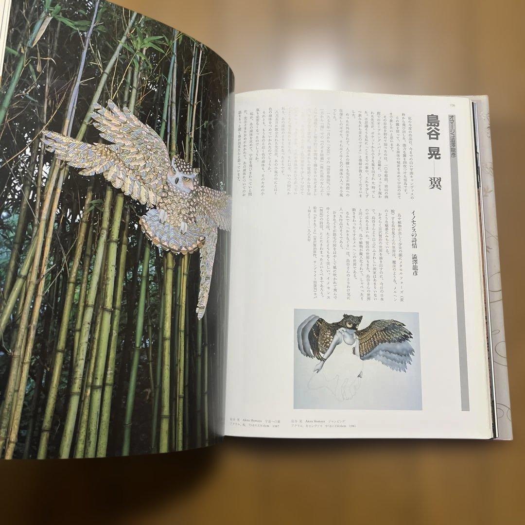 瀧澤龍彦 夢の博物館 The Museum of Draconia 図録 美術書
