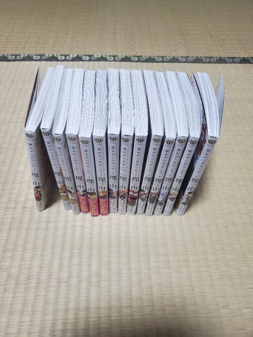 彼女が公爵邸に行った理由　全14巻セット