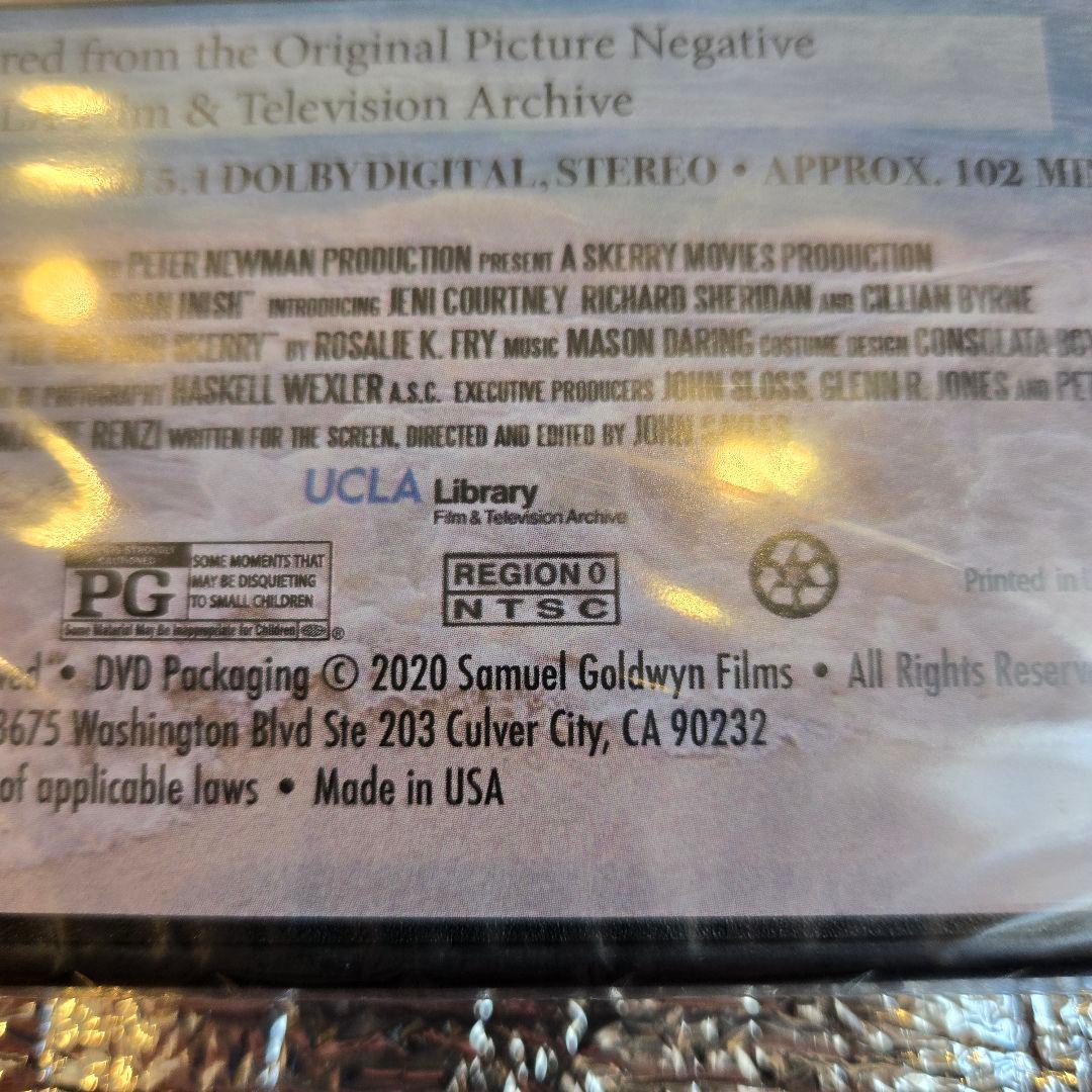 【日本未DVD激レア品】フィオナの海 海外版DVD