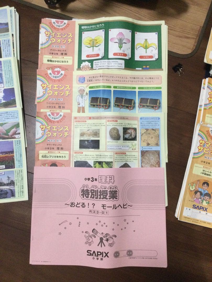SapiX 3年生　算数、国語、理科、社会　4教科　1年分　夏期・冬期講習あり