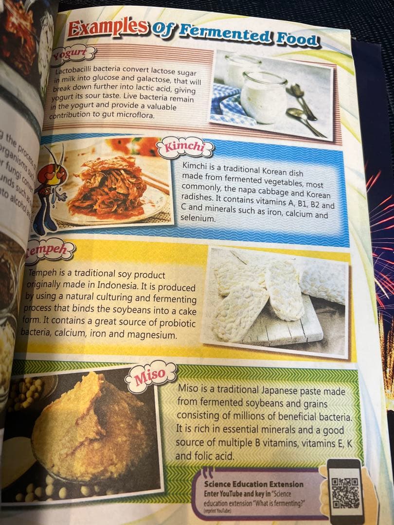 シンガポール雑誌　young scientists level 4 10冊