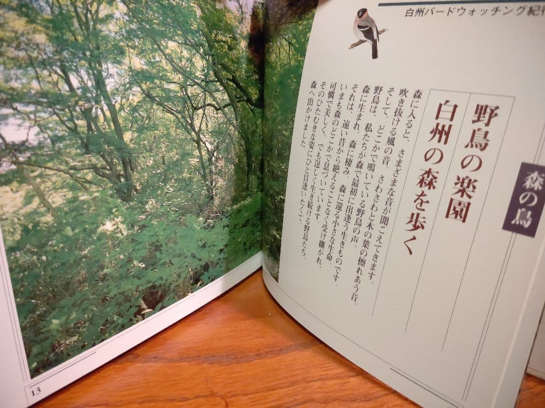 『南アルプス 白州 1』森の水 森の鳥 森のきのこ サントリー白州蒸溜所 稀覯本