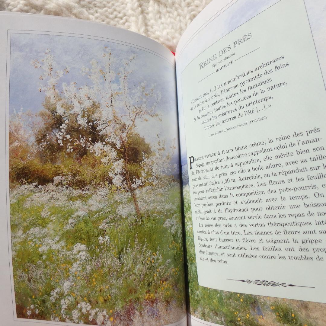 Le Langage des Fleaurs Sauvages　花言葉　仏語洋書
