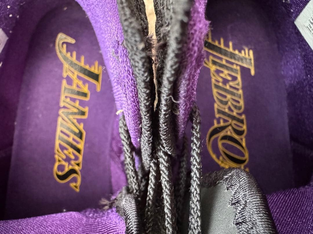Nike LeBron 17 ブラック/パープル