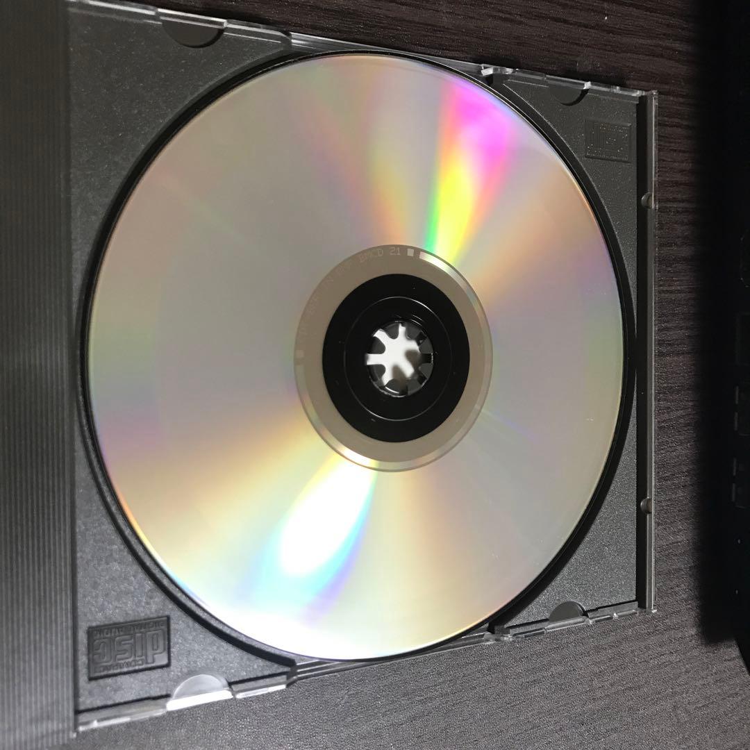 洋楽 Necrosanct / incarnate
