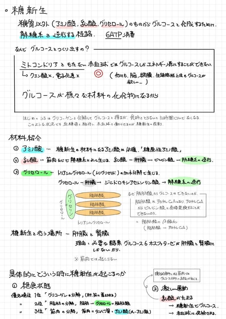 ※くーま エッセンシャル細胞生物学 自作問題集