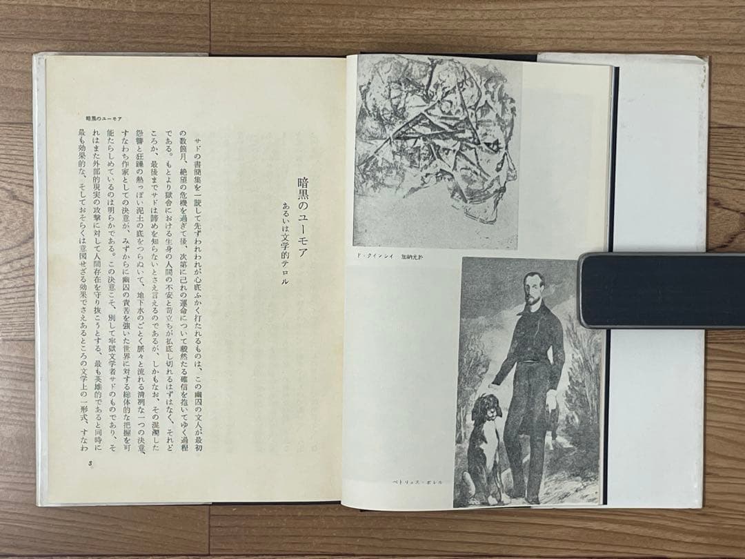 【初版】サド復活 澁澤龍彦 弘文堂