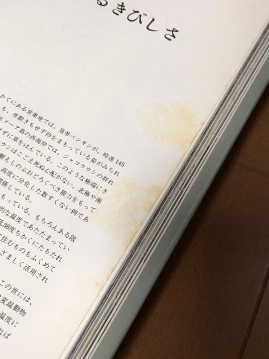 タイムライフブックス　ネーチュアライブラリー20冊