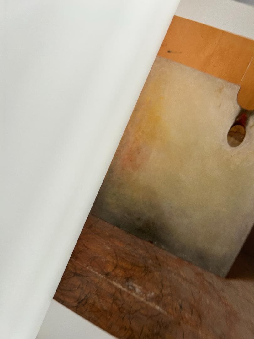 Morandis Objects ジョエル マイロウィッツ モランディ 静物写真