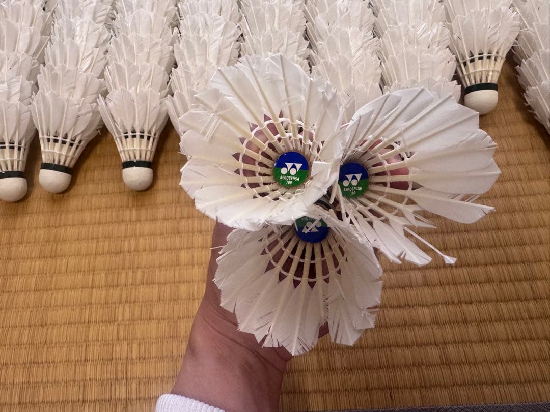 使用済みバドミントンシャトル 120個 ⑫
