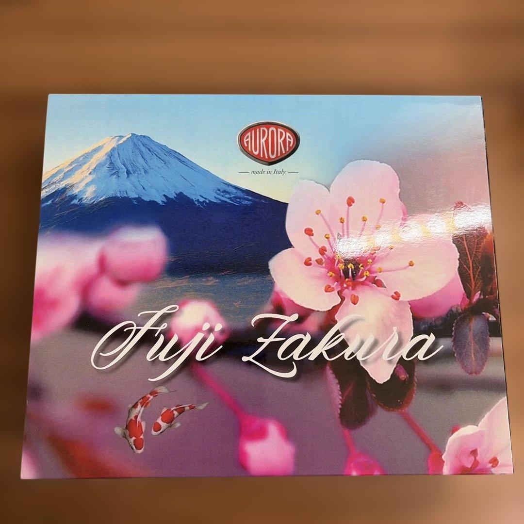 アウロラ　万年筆　富士桜　CE