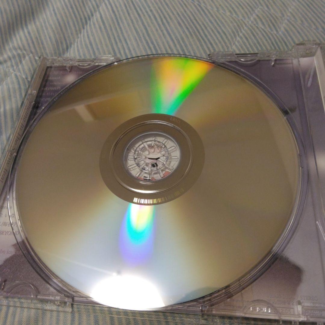 特典付き　雪歌ユフ　Singing in the 　初回盤　ボカロ　CD