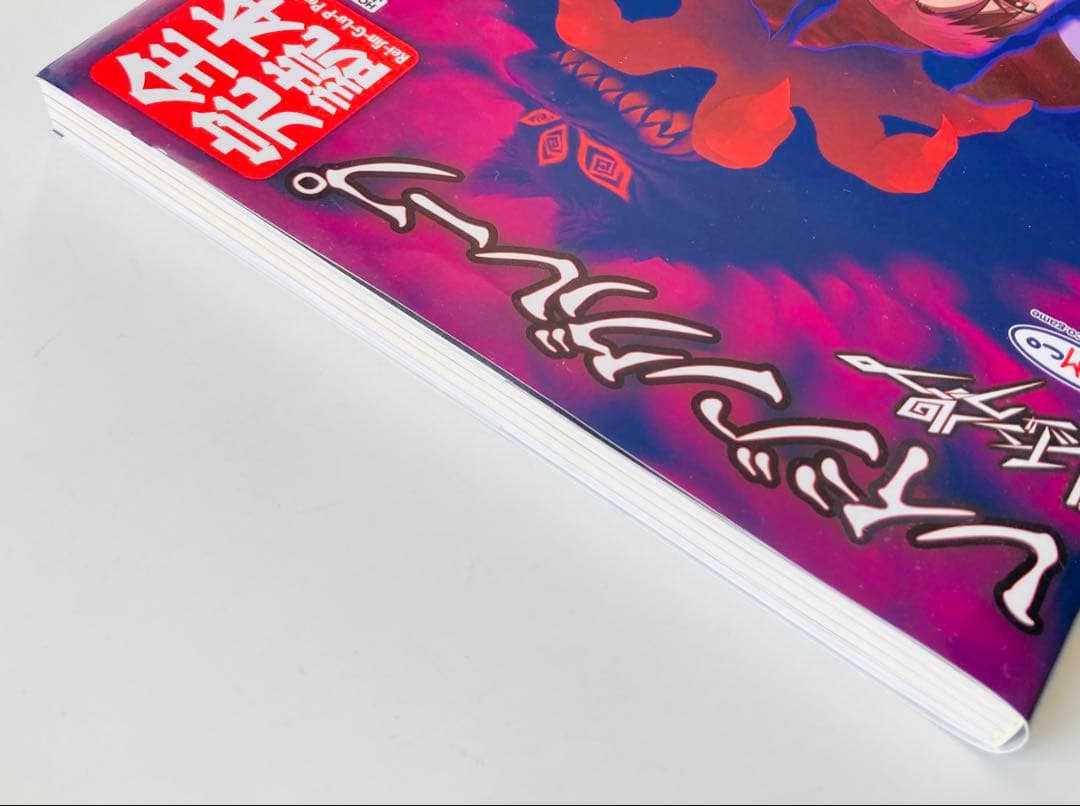 レイジングループ完全読本　初版帯付き