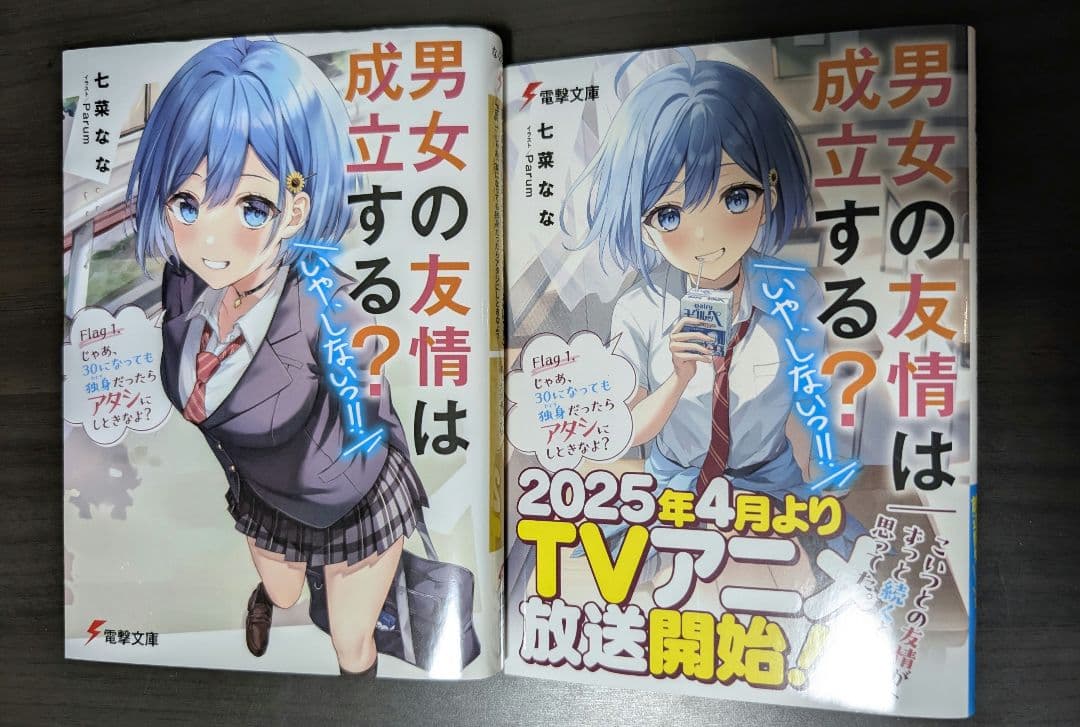 男女の友情は成立する?いやしない!! 全巻セット(13+2)_完結