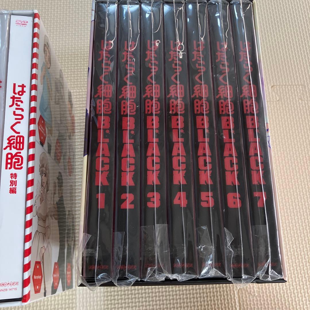 はたらく細胞　Box バラ売り対応します