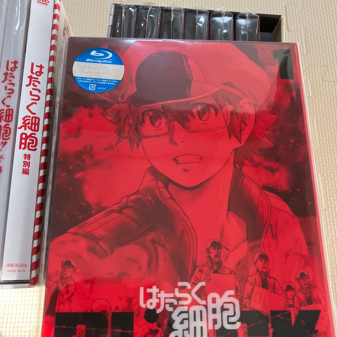 はたらく細胞　Box バラ売り対応します