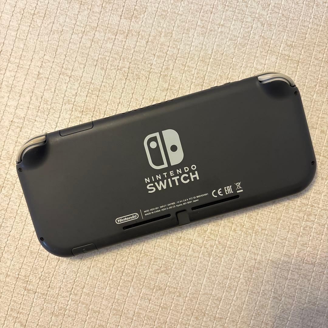 Nintendo Switch Lite グレー 充電器・イヤフォン付き