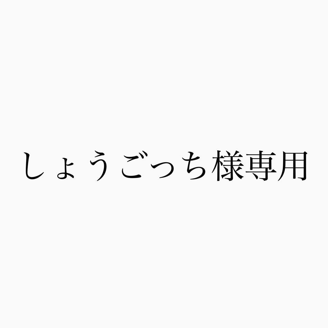 新品同様✨ラコステ　デイリークロコ Lファスナー キーケース　男女兼用