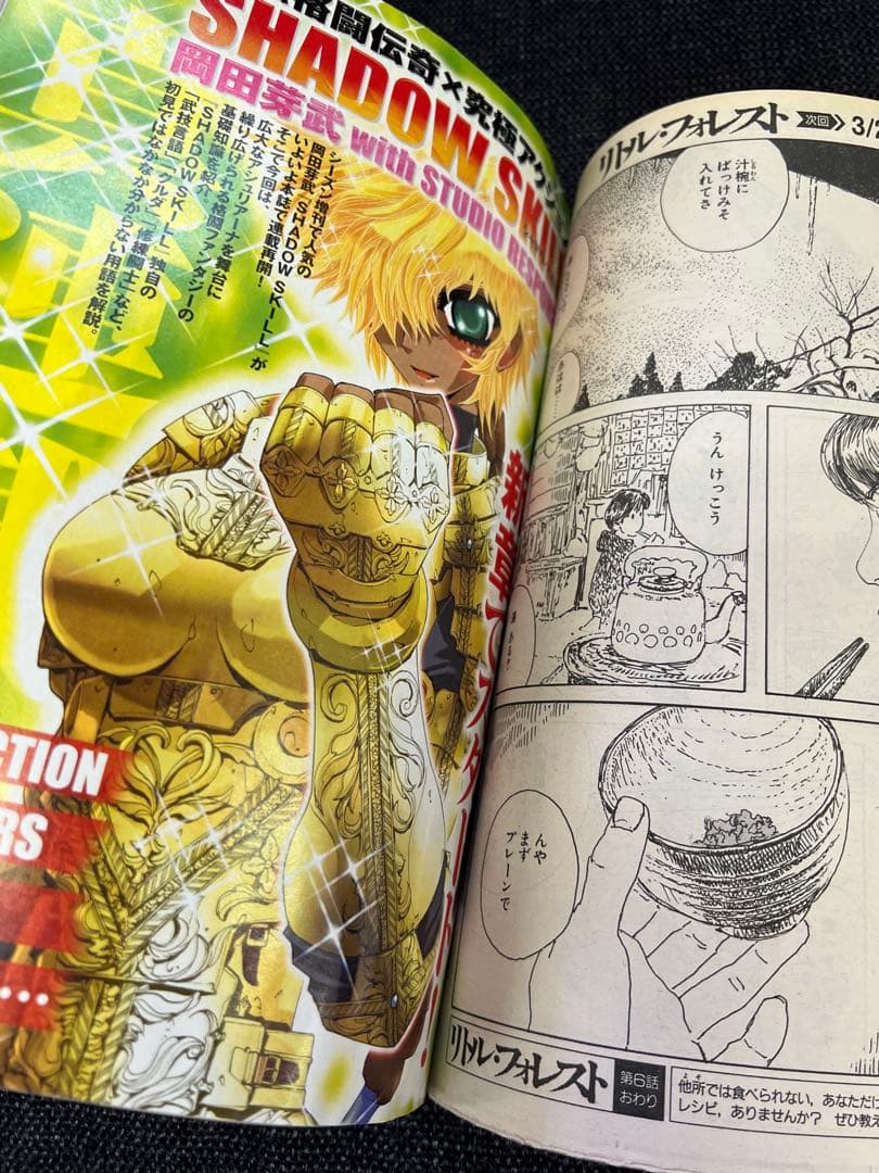 【未開封CD-ROM付】アフタヌーン2003年4月号 Vol.220 少年漫画