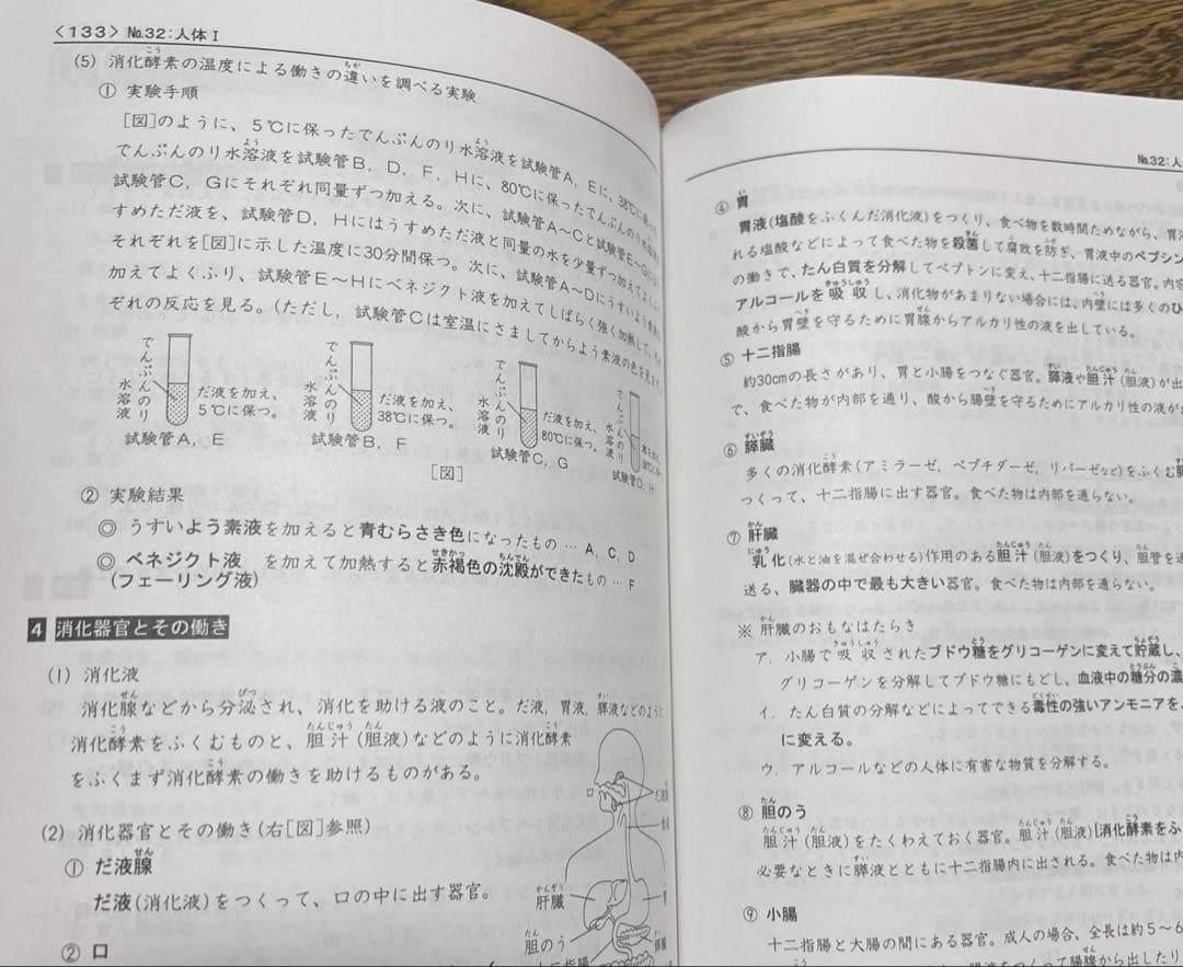 浜学園　6年生 理科 教材セット　一年分