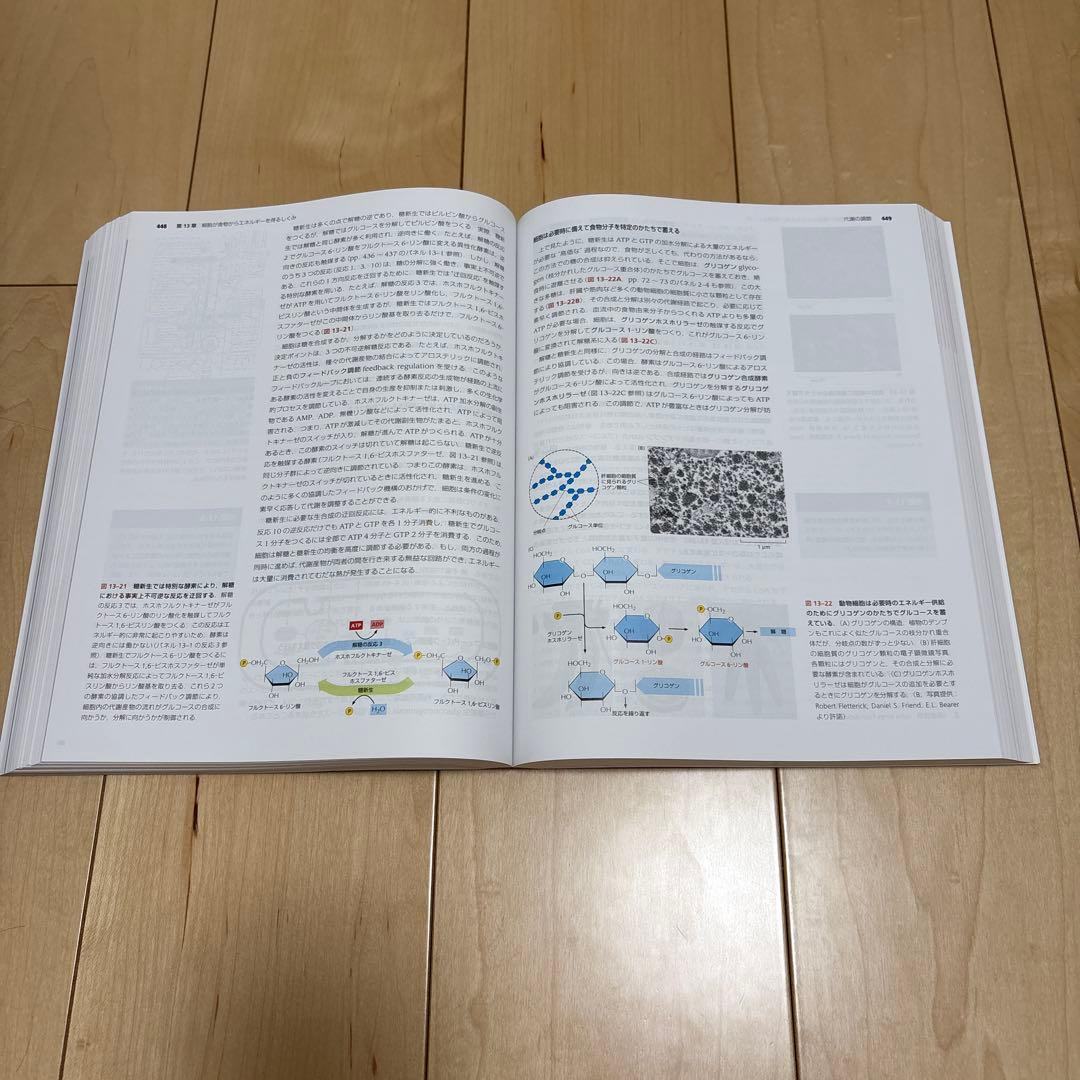 Essential Cell Biology 第5版　生物　ほぼ未使用