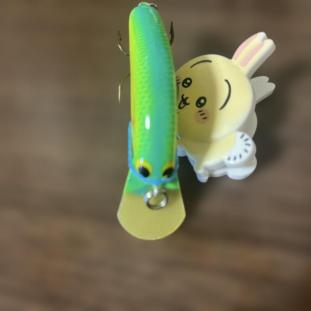 ハニースポットオリジナル SNB リスペクト ソニーB チャートカラー
