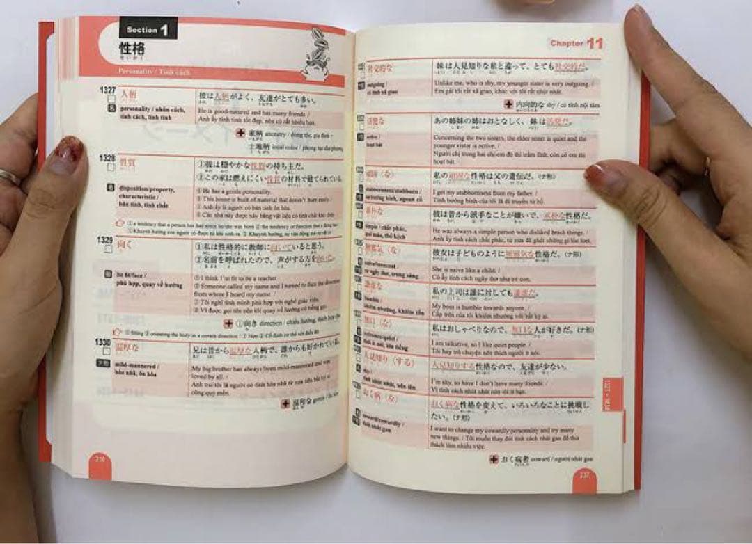 5冊「はじめての日本語能力試験N5+N4+N3+N2+N1単語」英語・ベトナム語