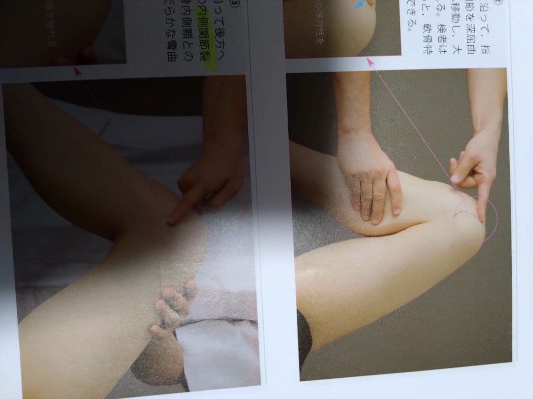 運動療法のための触診技術　上肢下肢　まとめ売り　セット　バラ売り可　理学療法士