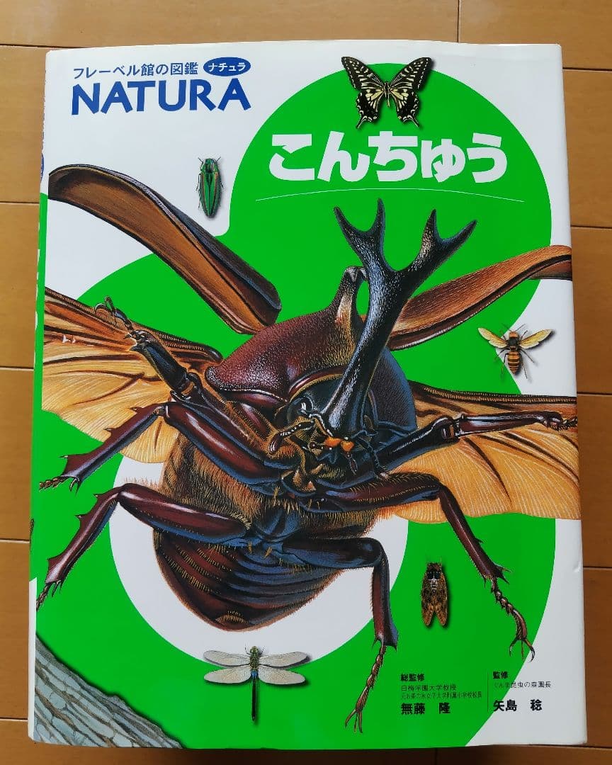 【さらに値下げ】フレーベル館の図鑑　MATURA ５冊セット 美品