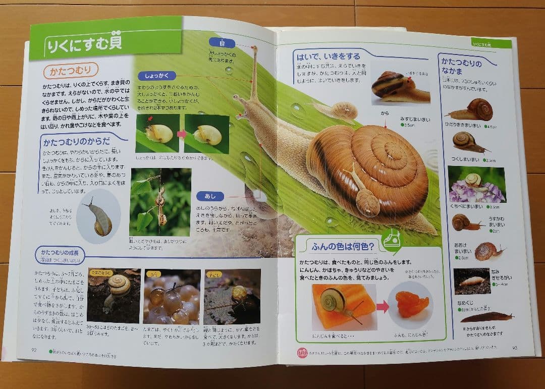【さらに値下げ】フレーベル館の図鑑　MATURA ５冊セット 美品
