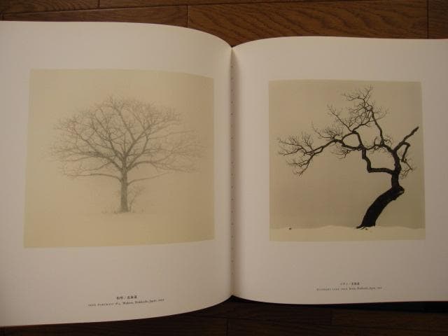 日本 JAPAN : マイケル・ケンナ　MICHAEL KENNA　初版