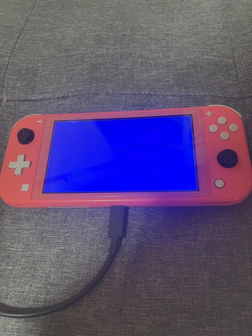 Nintendo Switch Lite ピンク 本体 ジャンク