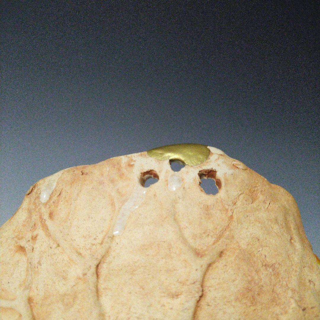 NO587 水月焼　菓子皿　蟹　細工皿　蓮葉　補修アリ