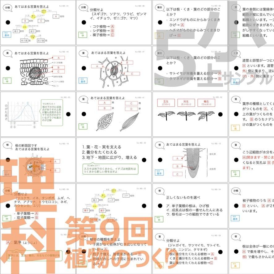 中学受験 暗記カード【5年上 社会・理科1-9回】 予習シリーズ 組み分け対策