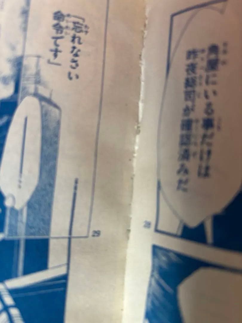 特別企画 さいとうちほが迫るアイスダンスの舞台裏 flowers 2月号
