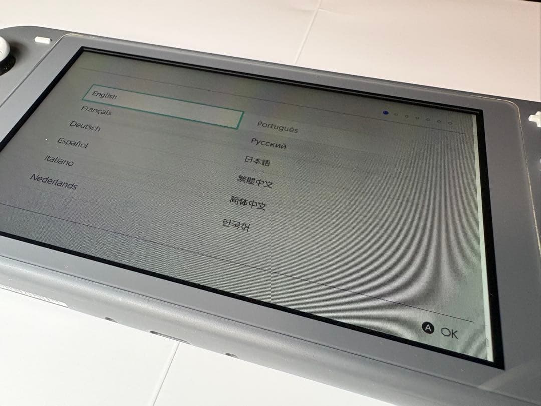 【24Ｈ以内発送】【ジャンク】Switch Lite グレー 本体のみ　液晶不良