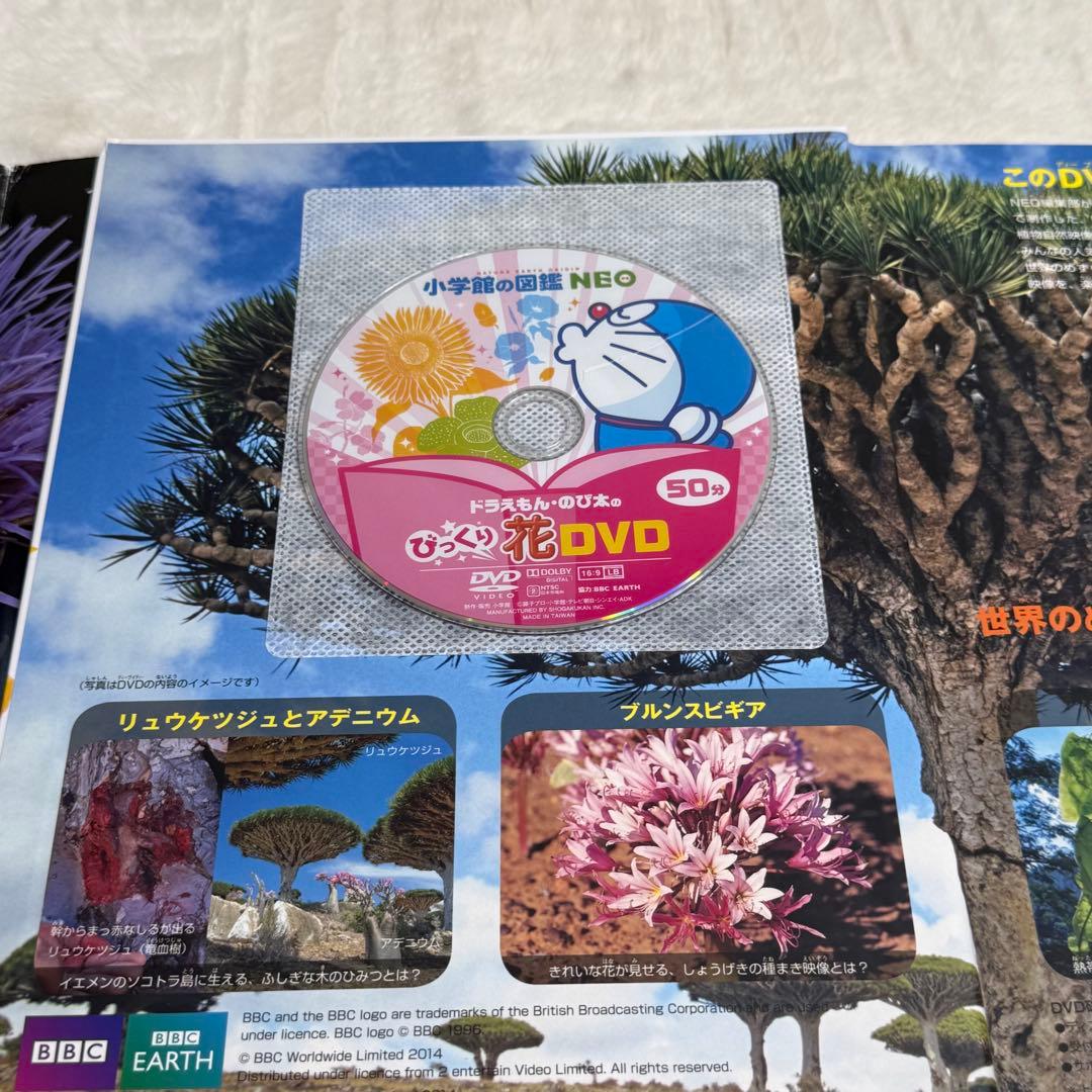 【良品・カバーあり】小学館の図鑑NEO 全巻20冊セット （良品・付録つき多数）