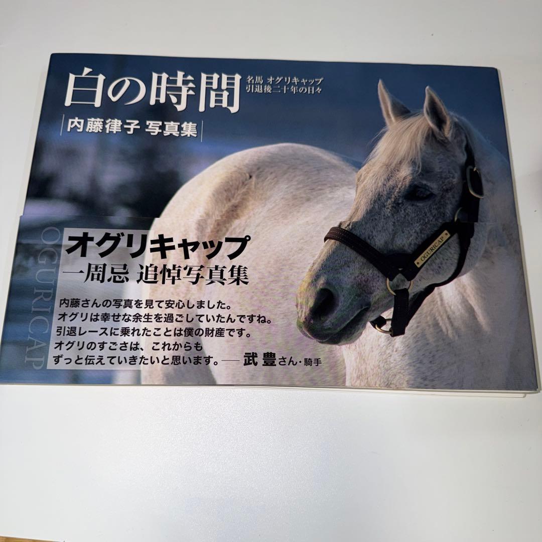 白の時間 内藤律子写真集