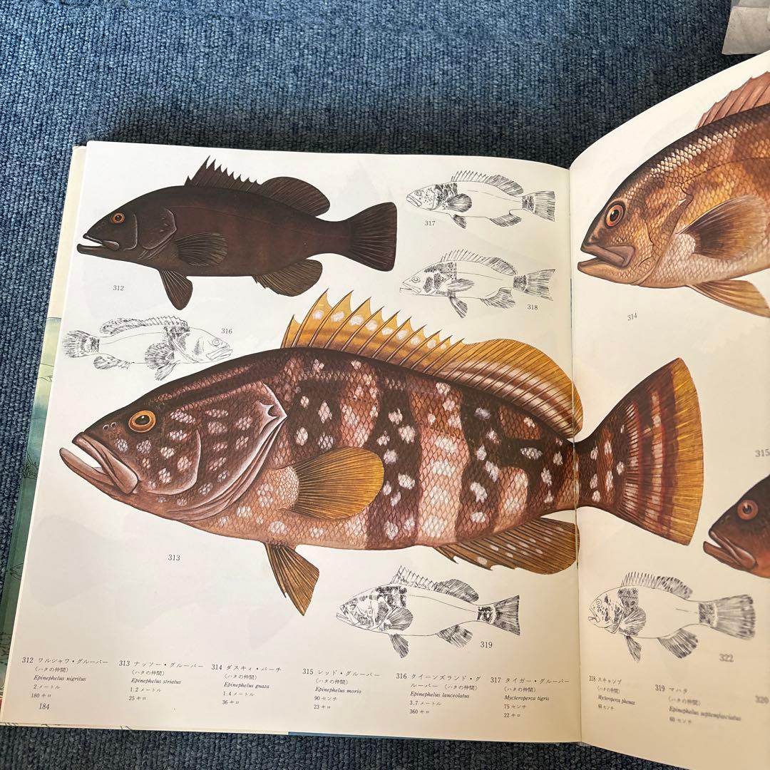 カラー版　釣魚大全