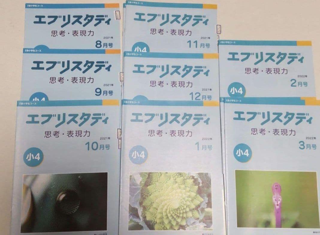 z会エブリスタディ小4　８ヶ月分　国語、算数、理科、社会、思考・表現力