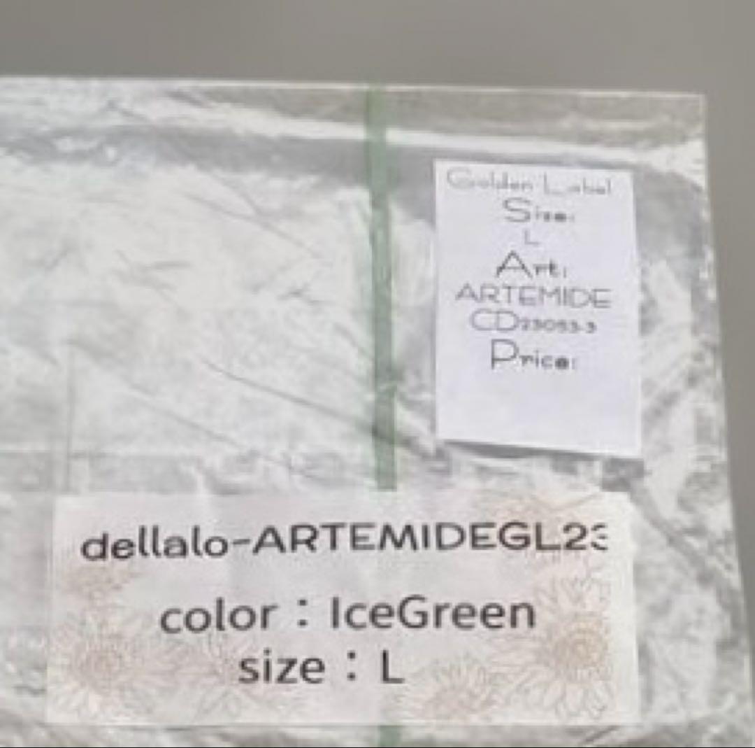 デラロミラノ レオタード L アイスグリーン Golden Label 【美品】