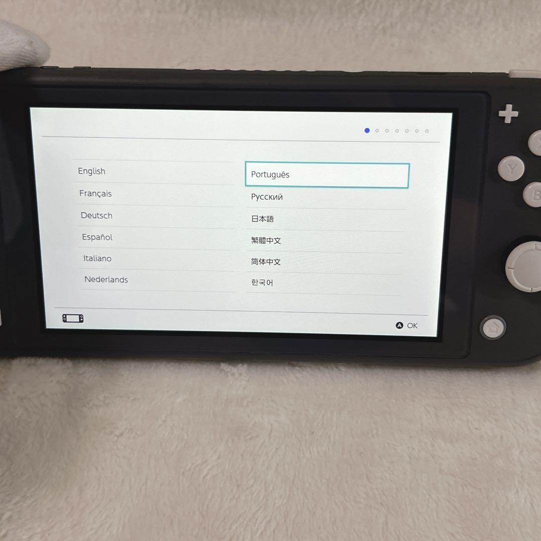 ✨動作品✨Nintendo Switch Lite グレー スイッチライト 本体