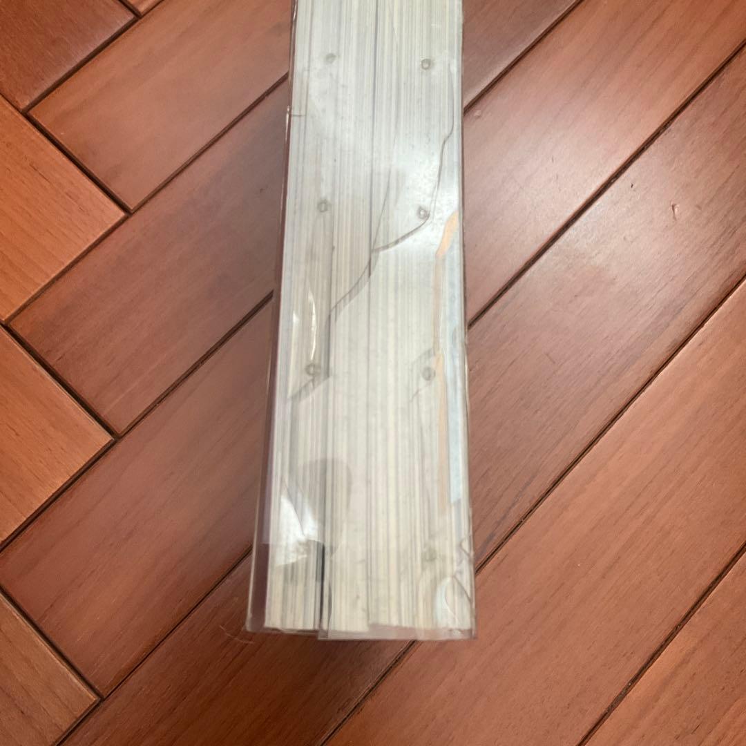 ARAKI IN WIEN　荒木経惟　東京パラダイス　コモドン ウィーンへ行く