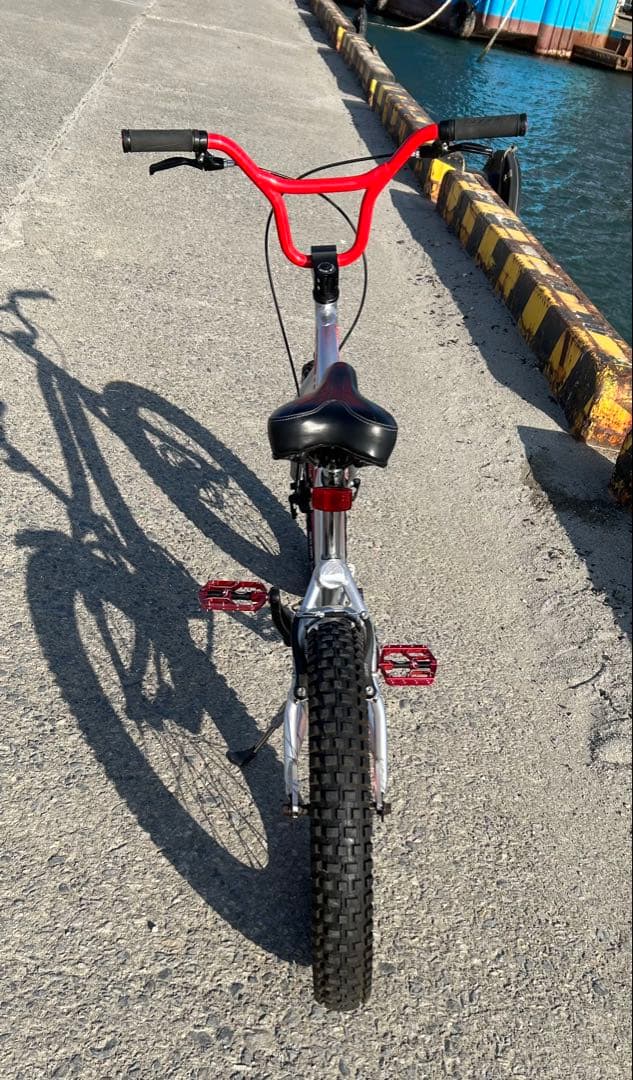 【引き取り限定】　トライアル用自転車　 MONTY 218 kamel J
